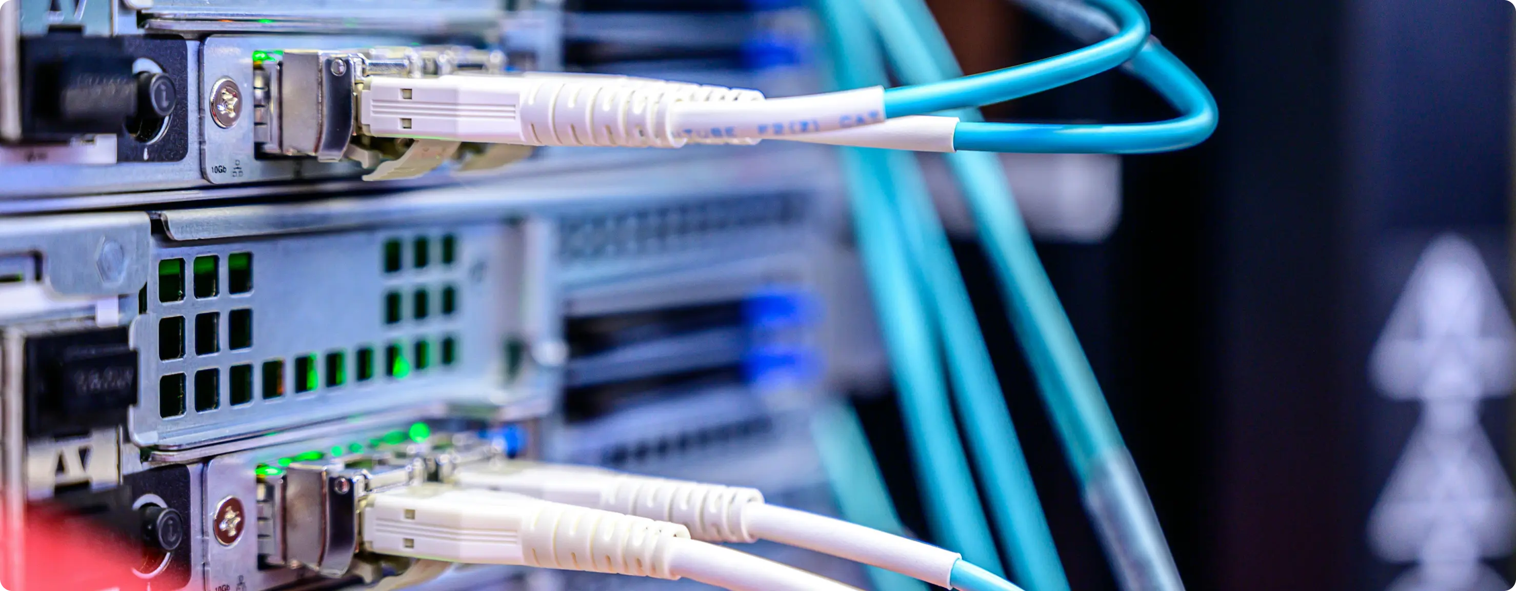 Close-up image of a server rack featuring multiple cables, representing the backbone of hosting services.